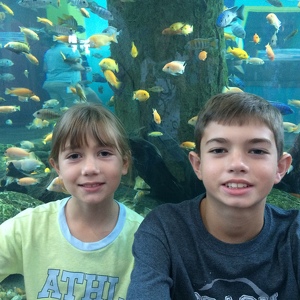 Team Page: Team Mendolia